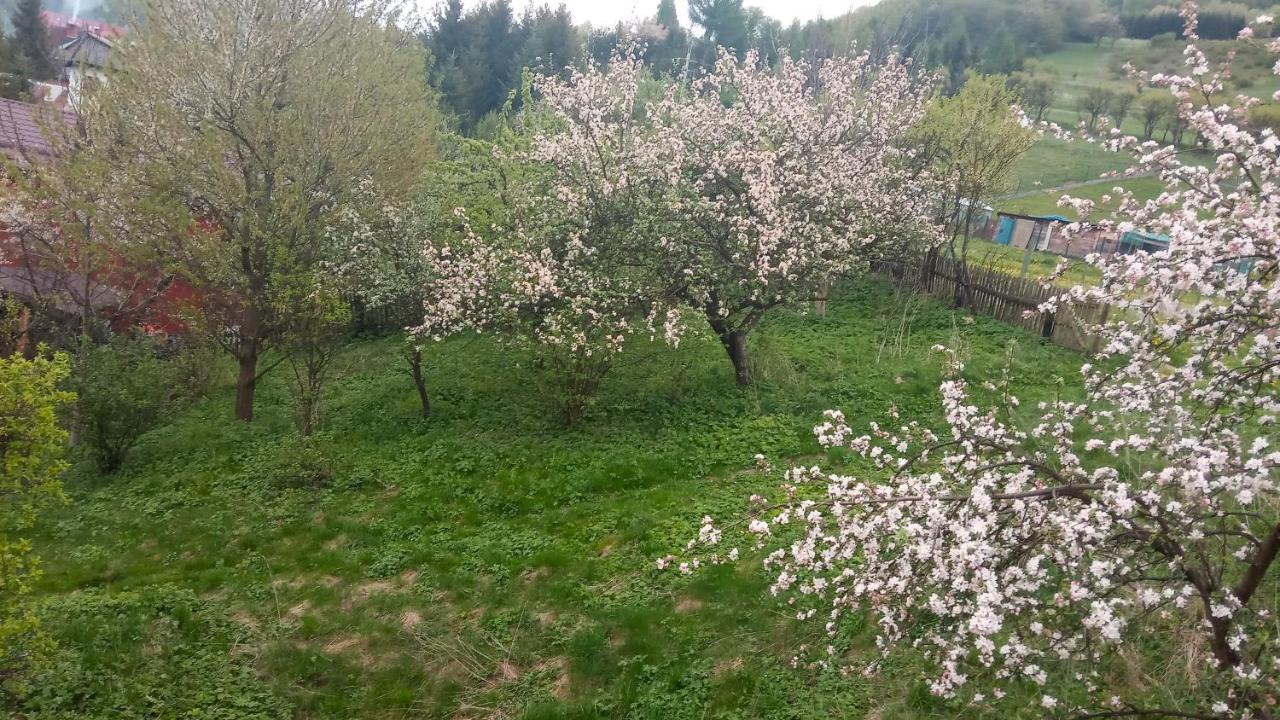 Pokoje U Adama Grajoka Szczawnica Buitenkant foto