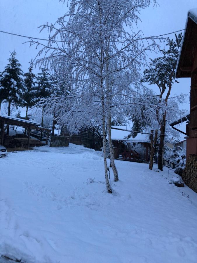 Pokoje U Adama Grajoka Szczawnica Buitenkant foto