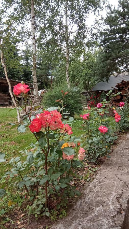 Pokoje U Adama Grajoka Szczawnica Buitenkant foto